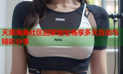 天涯海角社区回家地址畅享多元互动与精彩分享