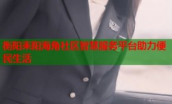 衡阳耒阳海角社区智慧服务平台助力便民生活