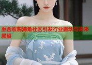 重金收购海角社区引发行业震动与未来展望