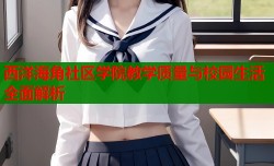 西洋海角社区学院教学质量与校园生活全面解析