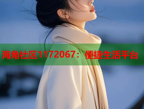海角社区1172067：便捷生活平台  第2张