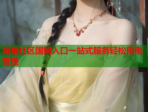 海角社区国网入口一站式服务轻松用电管理  第1张