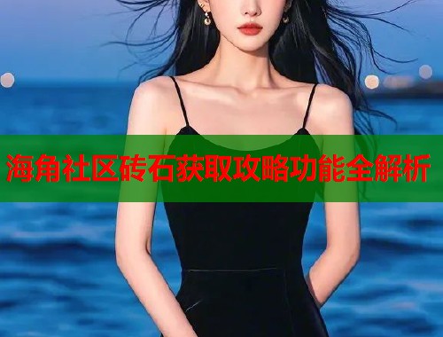海角社区砖石获取攻略功能全解析  第2张