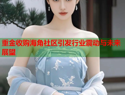 重金收购海角社区引发行业震动与未来展望  第1张